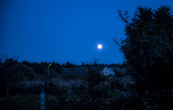 Ночь / Ночь. Луна. Лето. Деревня.
