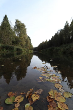  / Осень