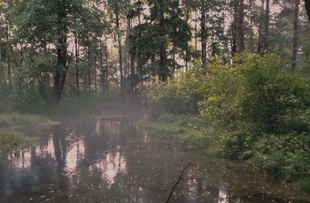 В туманной вечерней дымке / В туманной вечерней дымке