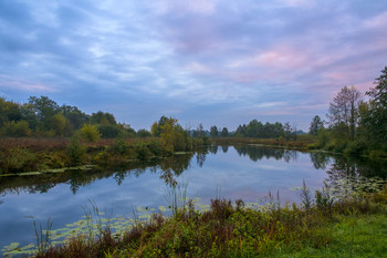 Осеннее утро. / Пасмурное утро на озере Рожок.