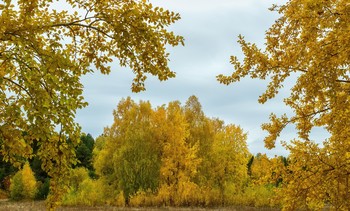 осенняя фоточка / Город Лесной, 26 сентября 2021 года от Р. Х.