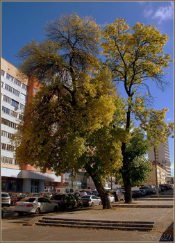 в городе осень / [img]https://i.imgur.com/WjKcXCM.jpg[/img]