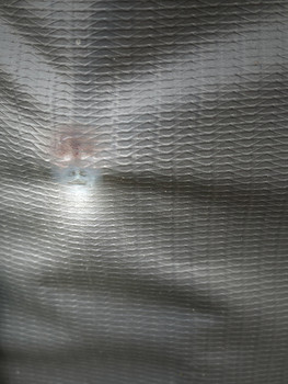 &nbsp; / in the universe