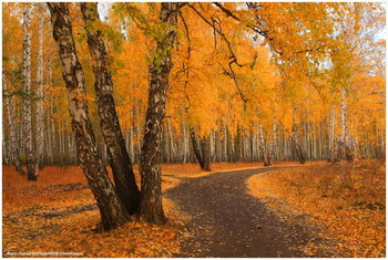 В лесу... / Челябинск. Парк