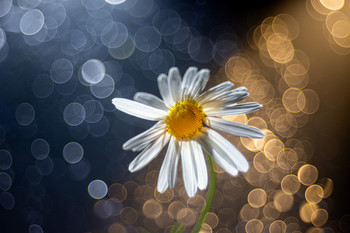 Ночь.. день... / 2021