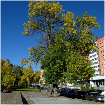 в городе осень / [img]https://i.imgur.com/3ktHvZc.jpg[/img]
