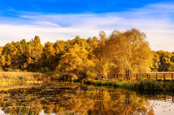 Серебряный бор / сентябрь