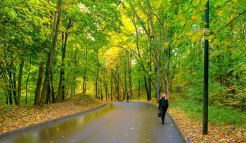 На Воробьёвых горах / Москва, Воробьёвы горы