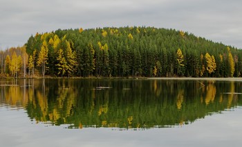 осенняя фоточка / Город Лесной, осень 2021 года от Р. Х.