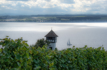 &nbsp; / Weinhang in Meersburg