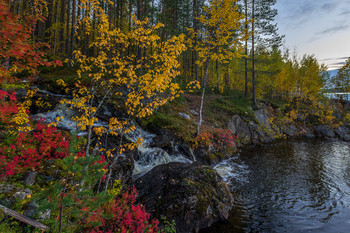 ...краски осени / ***