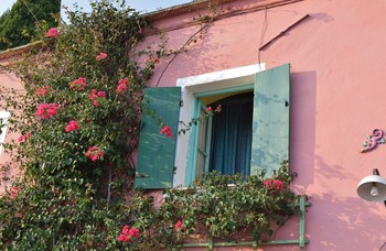 / old window of a pink house with bougainvillea