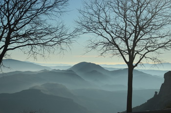  / mountains in the morning with fog and two bare trees in the foreground
