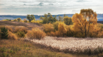 Осенний луг / осень, луг