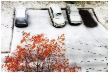 Первый снег / Октябрь
