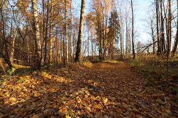  / Осень