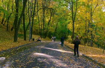 Осень в парке / Воробьёвы горы