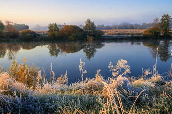 Осенние краски. / Утренний пейзаж на озере Сосновое.