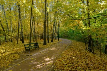 В осеннем парке / Воробьёвы горы