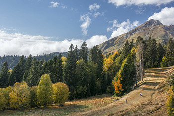 Осень в горах. / Кавказ.