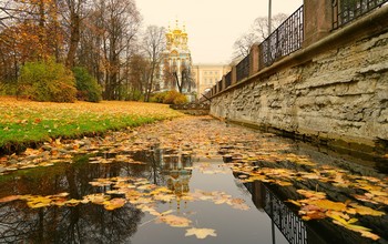 Хмурое утро / Екатерининский парк