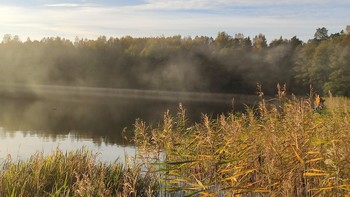 Рассвет на озере Мариново. / Прекрасное время года осень. Буйство красок на озере Мариново Гусевского района поражает своей красотой. Лёгкий туман низко стелется над озером, тишина и только плеск воды от гуляющей рыбы заставляет отвлечься от этой дивной красоты.