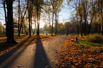 Тёплый осенний вечер / Парк Мазурино, Витебск.