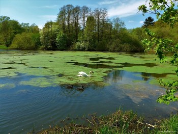 Aussenmühlenteich Hamburg / Слайд-шоу "Птицы"
https://www.youtube.com/watch?v=b5vziYLabQ4
Слайд-шоу "Цветы"
https://www.youtube.com/watch?v=JYadETNgWMY
Слайд-шоу "Крокусы"
https://www.youtube.com/watch?v=sKwg-6g1Xok
Слайд-шоу "Парк цветов весной 2021"
https://www.youtube.com/watch?v=rC5fOQuG-qg
Dahliengarten Hamburg
https://www.youtube.com/watch?v=YIZZSauDE3w
Rosengarten. Planten un Blomen Hamburg:
https://www.youtube.com/watch?v=tKJmmXxh-1U&t=8s
Слайд-шоу "Парк цветов летом"
https://www.youtube.com/watch?v=glVWjqRqZr0
Слайд-шоу "Парк цветов весной"
https://www.youtube.com/watch?v=kJVKlWcQxCg
Слайд-шоу "Парк цветов осенью"
https://www.youtube.com/watch?v=_Q7gRXGUa5A