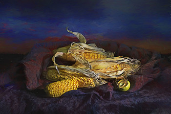 закат / кукуруза, натюрморт
