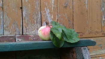 Скоро яблочный Спас / Снято на даче на кануне яблочного Спаса