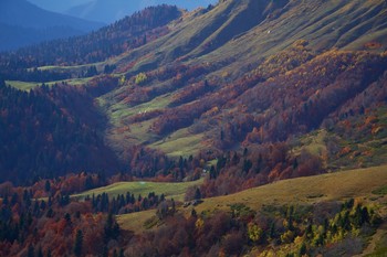 Краски Осени / ...