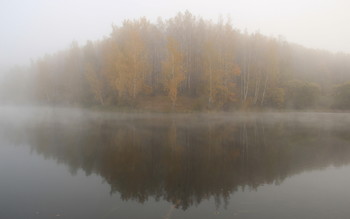 Роща в тумане / Калужская область. Туманный рассвет