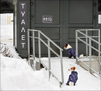 Очередь / Очередь