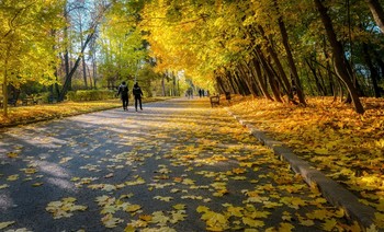 Осенние аллеи / Воробьёвы горы