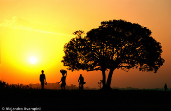 &nbsp; / Rising sun in Lumbini region of Terai - Nepal. Regarded as the birthplace of Buddha