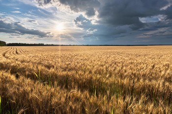 Вспоминая июль / Вспоминая июль