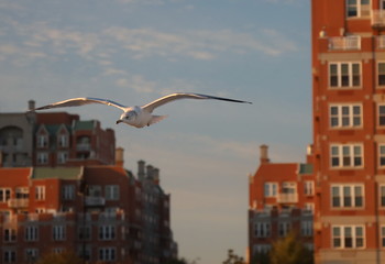 Перед закатом / ***