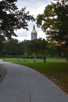 &nbsp; / A windy day in Bushnell Park