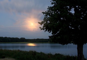 Лунная ночь. / &quot; &quot; &quot;