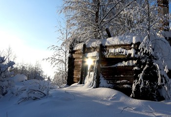 Winter Abandon / A shelter from the cold