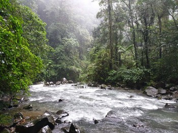 &nbsp; / La Fortuna