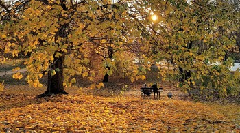 Осенняя прогулка... / ***