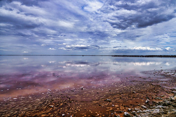 Озеро Сасык-Сиваш / Крым. Прибрежное.