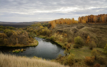 Осень на Красивой Мече. / река Краивая Меча в Тульской обл.