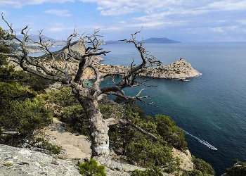 Крым. Новый Свет. / море, горы