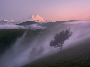 В пелене тумана / Кавказ