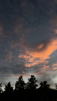 &nbsp; / Clouds and Trees