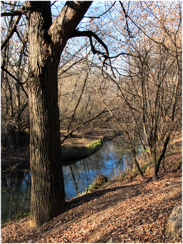 На Сетуни осень / Погожий осенний день на крутом берегу Сетуни