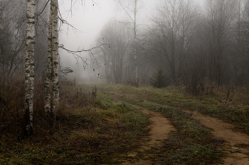Прогулка по туманам / утро 2 ноября