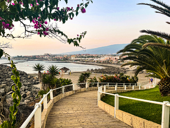 &nbsp; / Ocean, palm trees, pink flowers &amp; mountains.